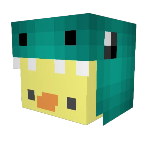 derooietovertrol Minecraft avatar head, 3D render