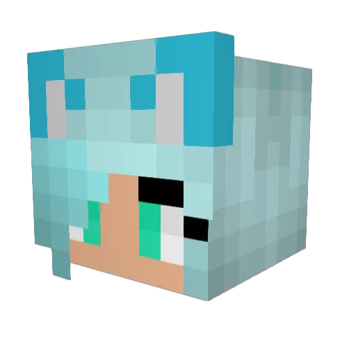derpcat503 Minecraft avatar head, 3D render