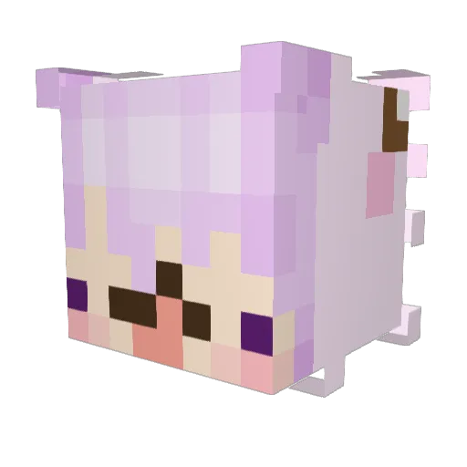 derpgirl77 Minecraft avatar head, 3D render