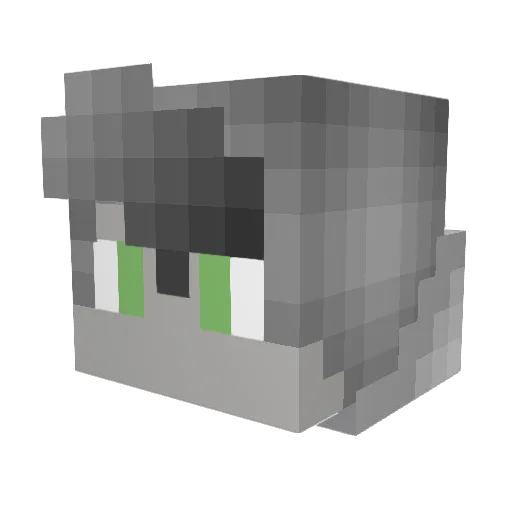 derpminecrafter Minecraft avatar head, 3D render