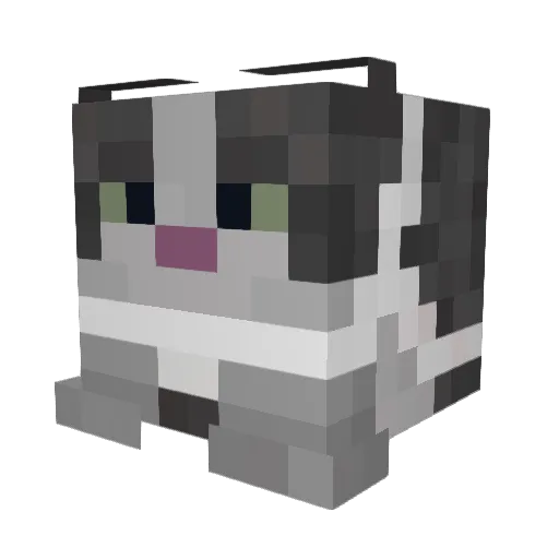 derpy_noob1234 Minecraft avatar head, 3D render