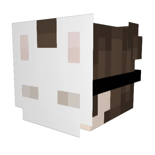 derpychaosfox Minecraft avatar head, 3D render