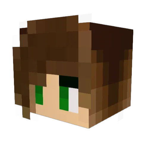 derpypig12 Minecraft avatar head, 3D render