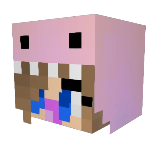 derpytaco123 Minecraft avatar head, 3D render