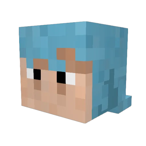 derwiry Minecraft avatar head, 3D render