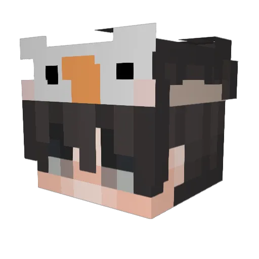 derzocker70 Minecraft avatar head, 3D render