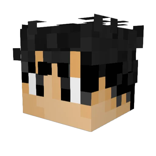 desensitised Minecraft avatar head, 3D render