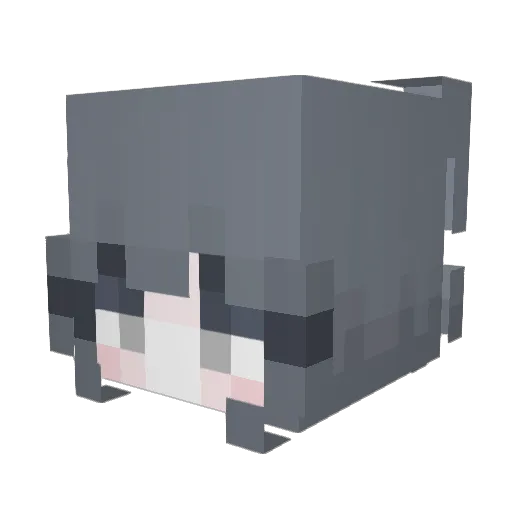 desertsfae Minecraft avatar head, 3D render