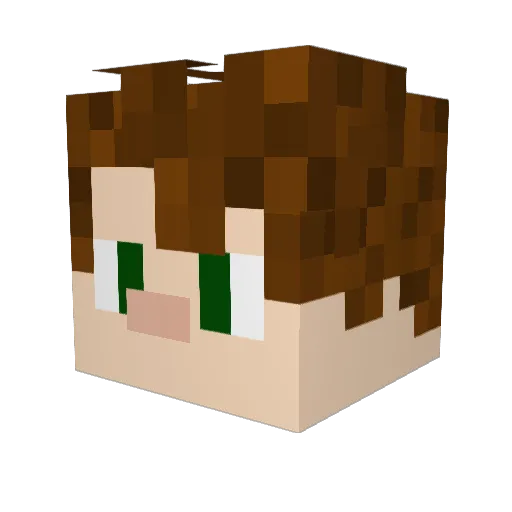 desertstarfish Minecraft avatar head, 3D render