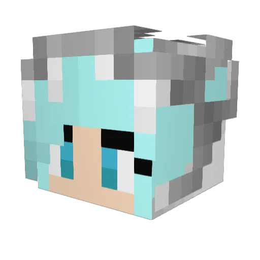 desertstorm6372 Minecraft avatar head, 3D render