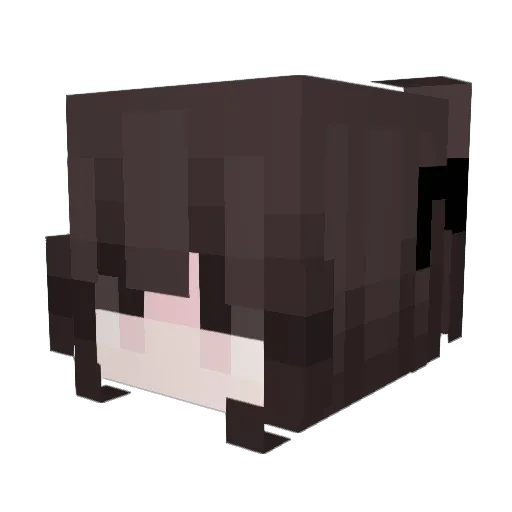 desi018 Minecraft avatar head, 3D render