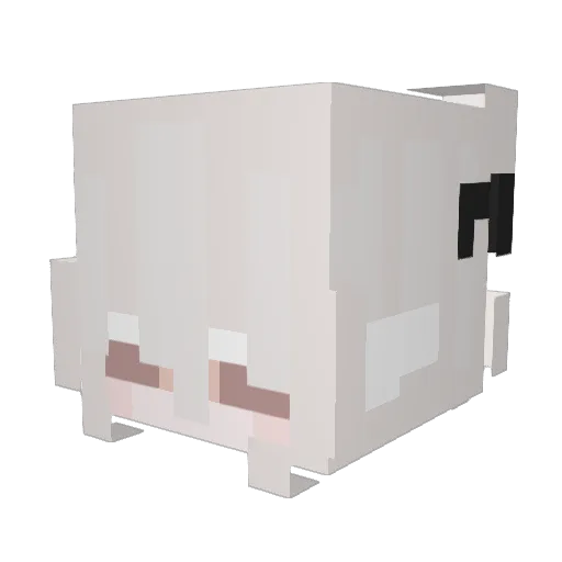 desnee Minecraft avatar head, 3D render