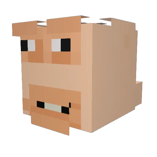 desnolaudo Minecraft avatar head, 3D render