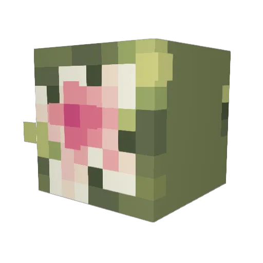 despairgus Minecraft avatar head, 3D render