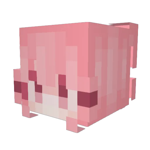 despairkuro1511 Minecraft avatar head, 3D render