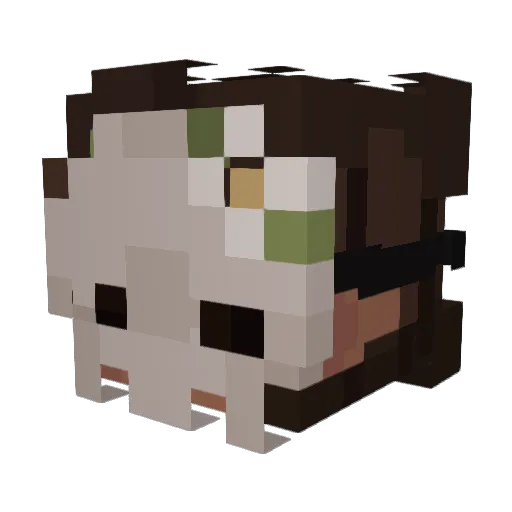 dessiewessie669 Minecraft avatar head, 3D render