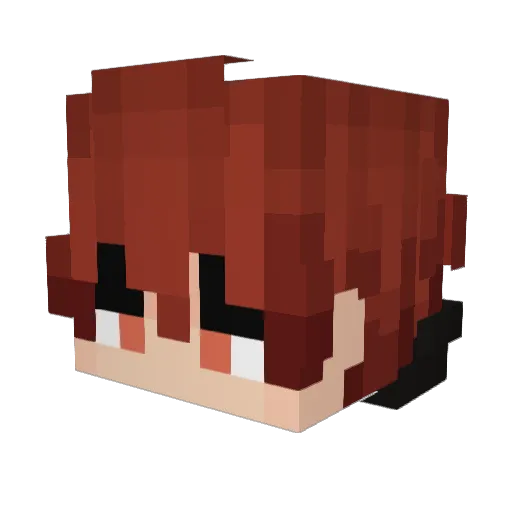 dest_de Minecraft avatar head, 3D render
