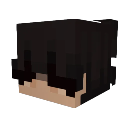 destin123456 Minecraft avatar head, 3D render