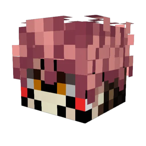 destinedrobbie Minecraft avatar head, 3D render