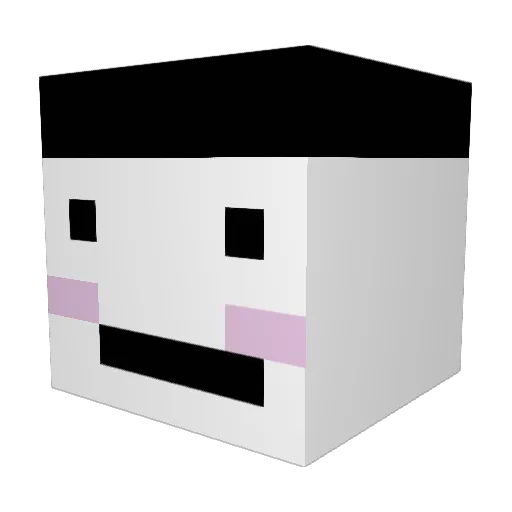 destirity Minecraft avatar head, 3D render