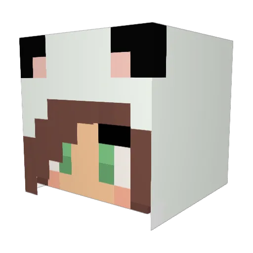 destroe99 Minecraft avatar head, 3D render