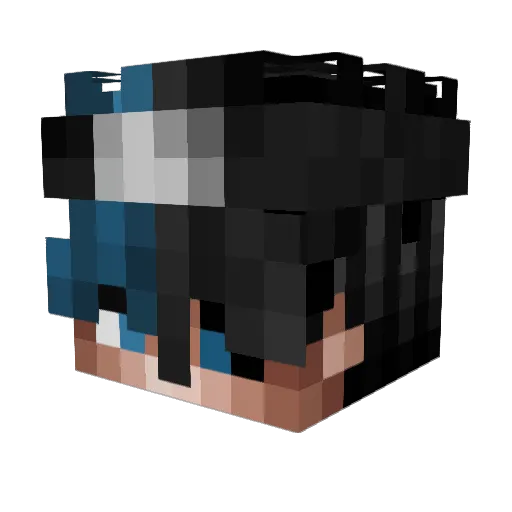 destroier12278 Minecraft avatar head, 3D render