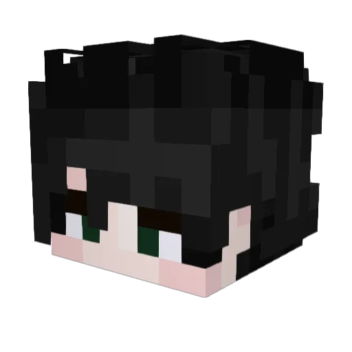 destrond16 Minecraft avatar head, 3D render