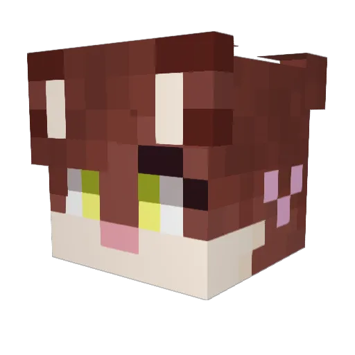 destrowo Minecraft avatar head, 3D render