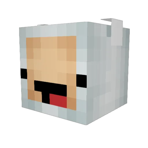 destroyer1222 Minecraft avatar head, 3D render