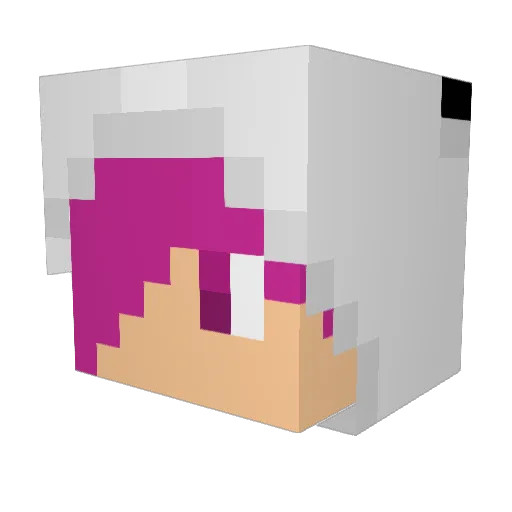 destroyer7945 Minecraft avatar head, 3D render