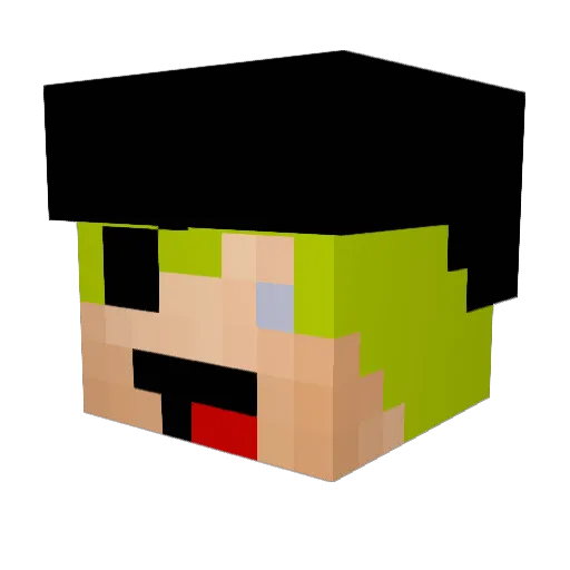 destroyerguy2182 Minecraft avatar head, 3D render