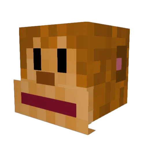 destroyerofballs Minecraft avatar head, 3D render