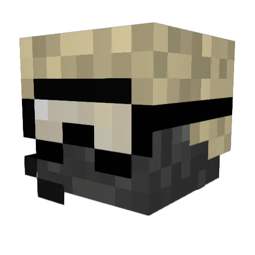 destructonaitor Minecraft avatar head, 3D render