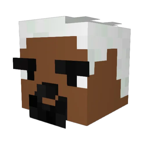 destruidorDELAS Minecraft avatar head, 3D render