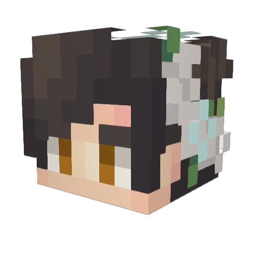 detendeten Minecraft avatar head, 3D render