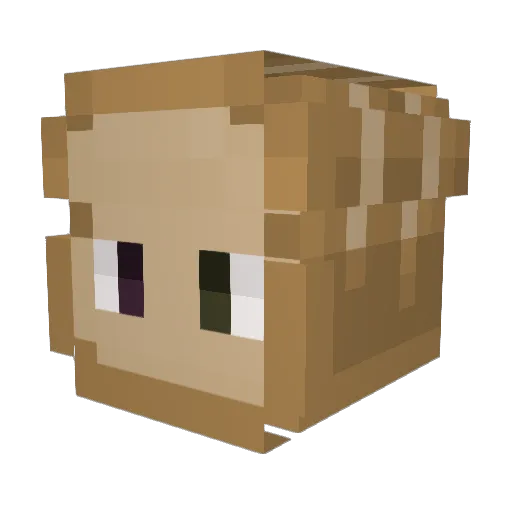 determinedtoast Minecraft avatar head, 3D render