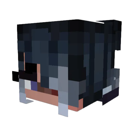 detnahcne Minecraft avatar head, 3D render