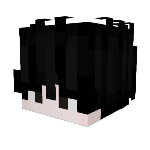 detoxifythemind Minecraft avatar head, 3D render