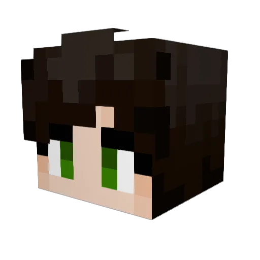 deufel81 Minecraft avatar head, 3D render