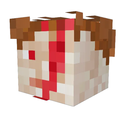 deurkleur Minecraft avatar head, 3D render