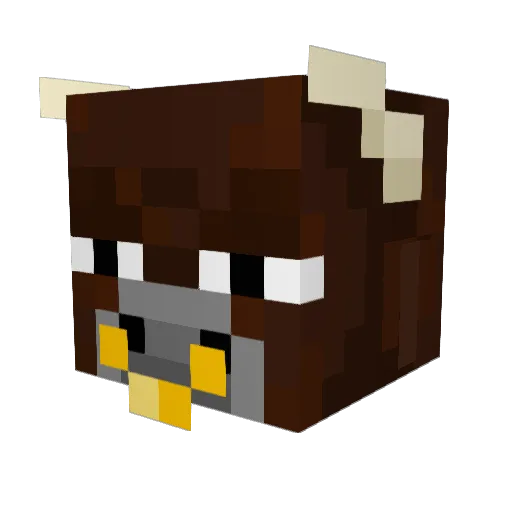 deusliebttakki Minecraft avatar head, 3D render