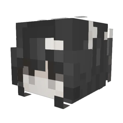 deuthvalley Minecraft avatar head, 3D render