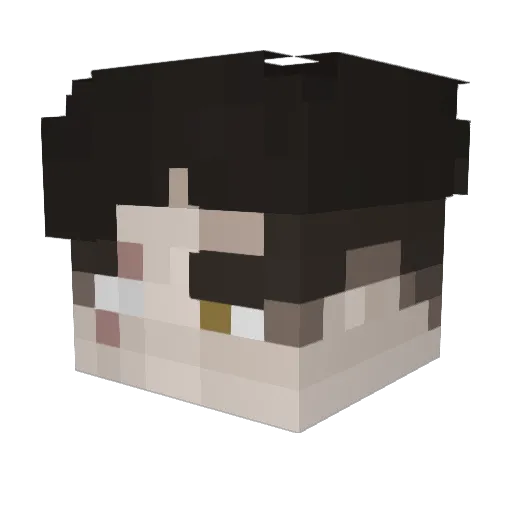 dev0te Minecraft avatar head, 3D render