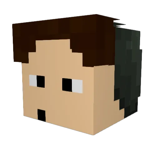 devWorksMC Minecraft avatar head, 3D render
