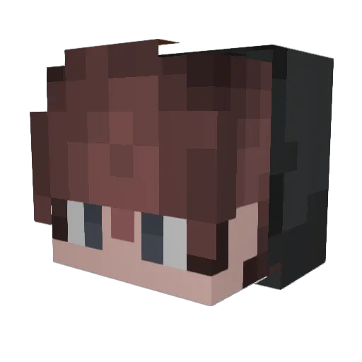 dev_13322 Minecraft avatar head, 3D render