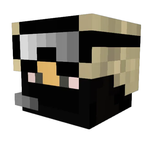 devgru138 Minecraft avatar head, 3D render