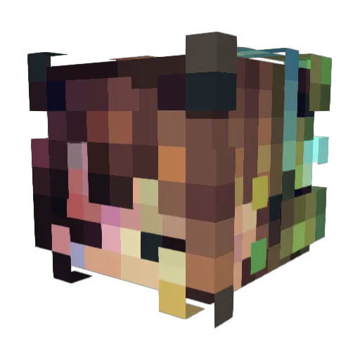 devilsadvocate69 Minecraft avatar head, 3D render