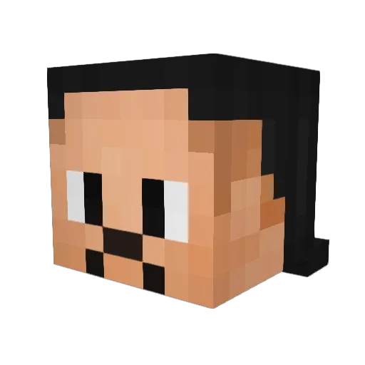 devinadkins22 Minecraft avatar head, 3D render