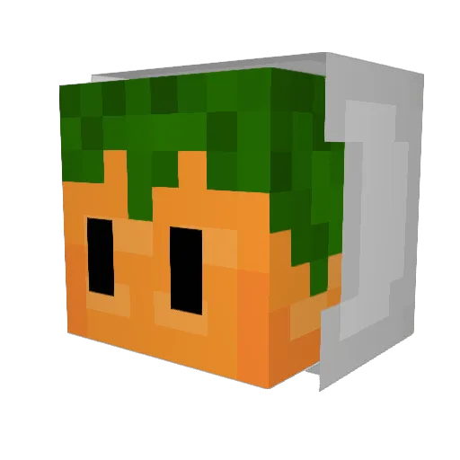 devinecarrot Minecraft avatar head, 3D render