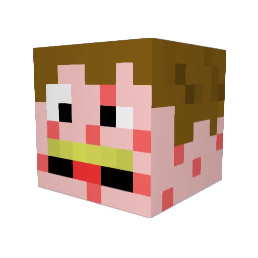 devlocity Minecraft avatar head, 3D render